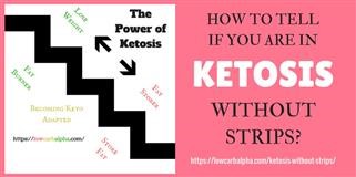 Keto Diet Food List What to Eat and Avoid